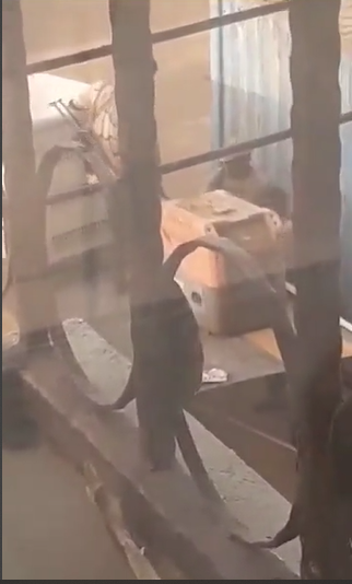 لجان مقاومة صالحة المركزية : قوات الدعم السريع نهبت مولد الكهرباء الخاص بمحطة بئر مياه جادين التكامل