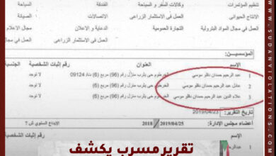 تقرير مسرب يكشف نهب ال دقلو لثروات السودان 21 IMG 20230601 WA0094