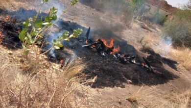 ممثلة منظمة الأمم المتحدة للطفولة : آلاف الأسر تفر بأطفالها من العنف في غرب دارفور 6 ممثلة منظمة الأمم المتحدة للطفولة : آلاف الأسر تفر بأطفالها من العنف في غرب دارفور