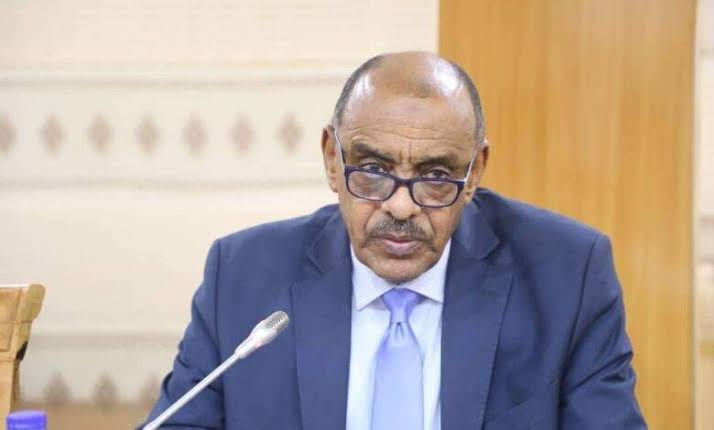 السودان يطلع أكثر من 70 دولة ومنظمة دولية على انتهاكات فظيعة ارتكبتها مليشيات الدعم السريع 1 images 3