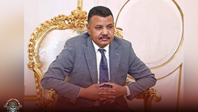 مستشار الدعم السريع: سنحاسب المتورطين بالاغتصاب والعنف 4 عزت موقع