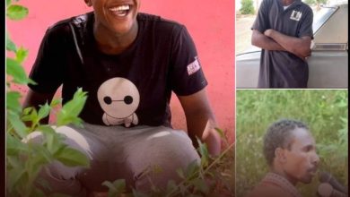 15b0f60c 3c0c 44e2 86cf 37a4be9bf1f1