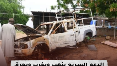 بالصور : جانب من منطقة طويلة بشمال دارفور التي شهدت فرار للسكان الى الفاشر عقب هجمات من مليشيات الدعم السريع 44 IMG 20230826 112610