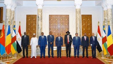 وزراء خارجية الجوار السوداني يقرون خطة من 3 مراحل لإنهاء الحرب 14 السبعة الجوار