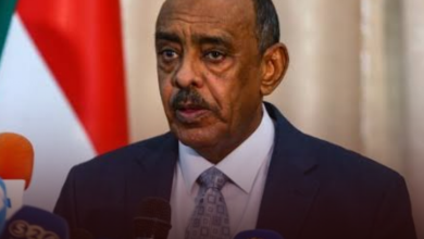 وزير الخارجية يلتقي نظيره النيجري على هامش اجتماعات الجمعية العامة للأمم المتحدة 1 IMG 20230926 203657
