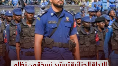 الإدلة الجنائية تسترد نسخة من نظام سجلات المجرمين والمطلوبين للعدالة 11 IMG 20231004 184750