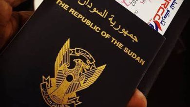 لجنة لاستخراج أرقام وطنية للحالات الإنسانية والطارئة 4 لجنة لاستخراج أرقام وطنية للحالات الإنسانية والطارئة