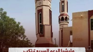 WhatsApp Image 2023 10 15 at 00.59.20 e5361228