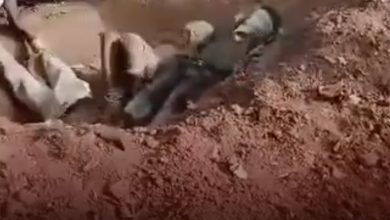 image editor output image219785242 1696498008599