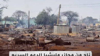 أحد الناجين من مجازر مليشيا الدعم السريع بدارفور يروي عن إبادات جماعية قُتل فيها الآلاف من المدنيين