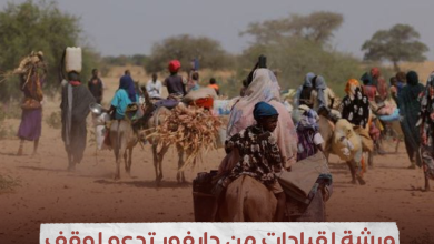 ورشة لقيادات من دارفور تدعو لوقف انتهاكات الدعم السريع في الاقليم 3 IMG 20230805 005222