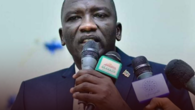 حركة تحرير السودان قيادة مصطفى تمبور تصدر بيانا حول مزاعم انشقاق مجموعة منها 5 IMG 20231104 110134 1