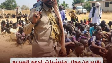 تقرير عن مجازر مليشيات الدعم السريع المتمردة بولاية غرب دارفور