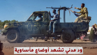 ود مدني تشهد أوضاع مأساوية بعد احتلالها من قبل الدعم السريع ( فيديوغراف ) 2 image 28