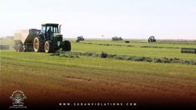 حذرت من خطر انعدام الامن الغذائي.. منصة السودان تطلق مناشدة عاجلة لحماية المؤسسات ومرافق ومراكز الابحاث الزراعية ومنشآت الري والثروة الحيوانية 8 الموقع 8