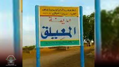 تفاصيل اقتحام مليشيا الدعم السريع لمدينة المعيلق بالجزيرة 8 IMG 20230711 014423 9