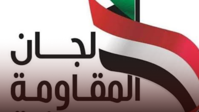 انسحابات بالجملة لعناصر لجان المقاومة وانضمامها للمقاومة الشعبية 1 IMG 20240121 125351