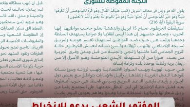 المؤتمر الشعبي يدعو للانخراط في المقاومة الشعبية لدحر التمرد