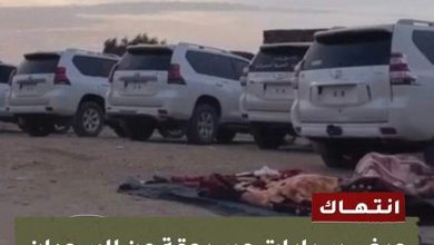 عرض سيارات مسروقة من السودان بأحد أسواق البيع في تشاد 7 FB IMG 1706857433638
