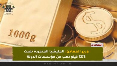 وزير المعادن: المليشيا المتمردة نهبت 1273 كيلو ذهب من مؤسسات الدولة 9 وزير المعادن: المليشيا المتمردة نهبت 1273 كيلو ذهب من مؤسسات الدولة