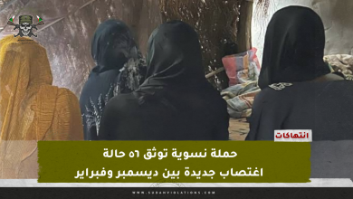 حملة نسوية توثق ٥٦ حالة اغتصاب جديدة بين ديسمبر وفبراير 1 IMG 20240304 105855