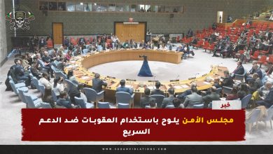 مجلس الأمن يلوح باستخدام العقوبات ضد الدعم السريع 10 مجلس الأمن يلوح باستخدام العقوبات ضد الدعم السريع