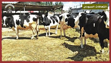 قالب انتهاكات 1