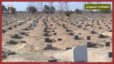 وفاة 5 أفراد من أسرة واحدة جراء تدوين المليشيا بكرري