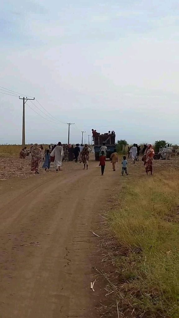 استمرار نزوح المواطنين من تمبول ورفاعة هرباً من بطش مليشيا الدعم السريع 3 IMG 20241023 WA0097