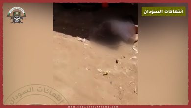 مجزرة مروعة وتهجير قسري في قرية السريحة على يد مليشيا الدعم السريع