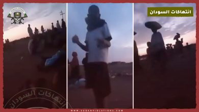 بالفيديو . هجوم غاشم للمليشيا على قرية ودلميد بريف الكاملين يؤدي لنهب وترويع المواطنيين