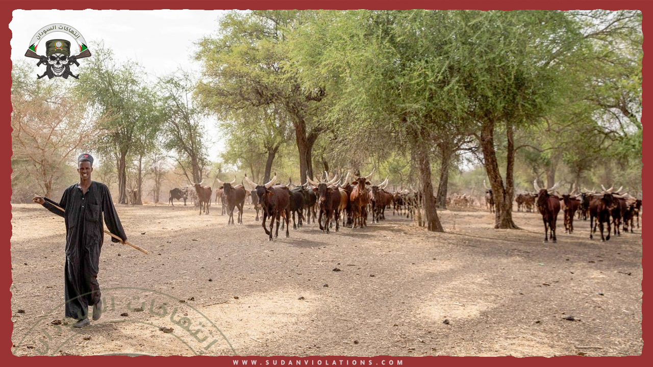 أرقام صادمة.. الكشف عن الانتهاكات التي تعرضت لها الحياة البرية من قبل المليشيا المتمردة 1 أرقام صادمة. الكشف عن الانتهاكات التي تعرضت لها الحياة البرية من قبل المليشيا المتمردة