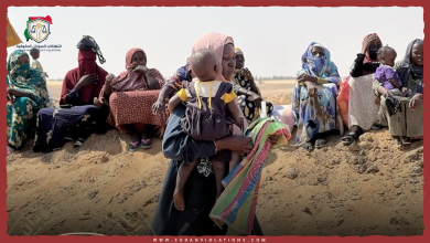 الدلنج على حافة الكارثة.. حرب بالوكالة وسكوت دولي 2 الدلنج على حافة الكارثة. حرب بالوكالة وسكوت دولي